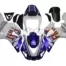 1998-1999-Yamaha-R1-YZR-M1-2010-MotoGP-Livery-Fairing-GS