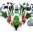 2009-2012-Kawasaki-Ninja-ZX-6R-Provec-Motocard-WSS-Fairing-GS