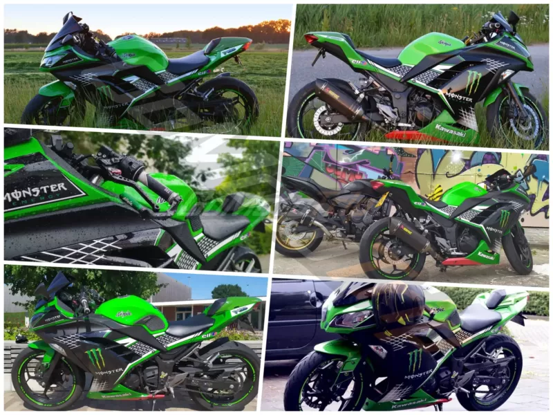 Kawasaki-Ninja-300-Monster-Energy