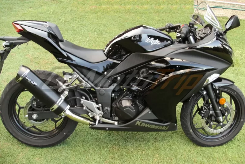 2013-Kawasaki-Ninja-300-Ebony-Back