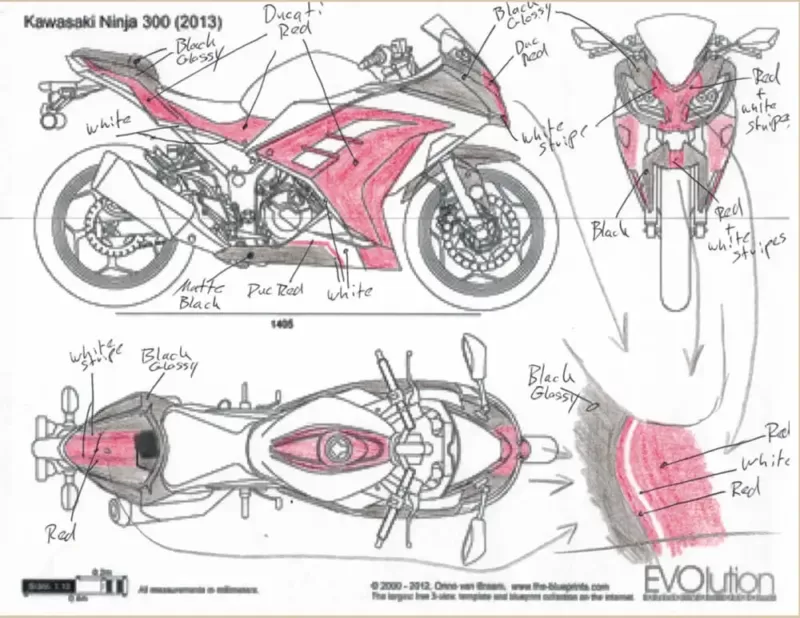 Kawasaki-Ninja-300-Superbike-Coach
