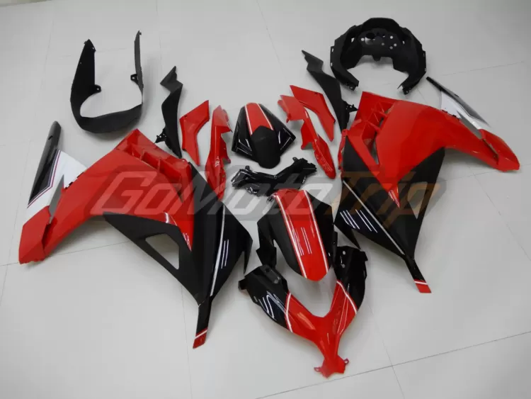 Kawasaki-Ninja-300-Superbike-Coach-Fairing-2