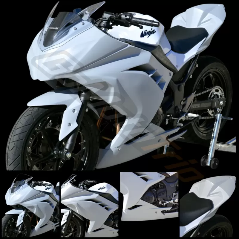 Kawasaki-Ninja-300-Race-Bodywork-On-Bike