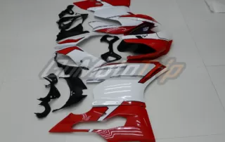 Sponsorship Team Quickshift Ducati 899 Panigale Fairing 5