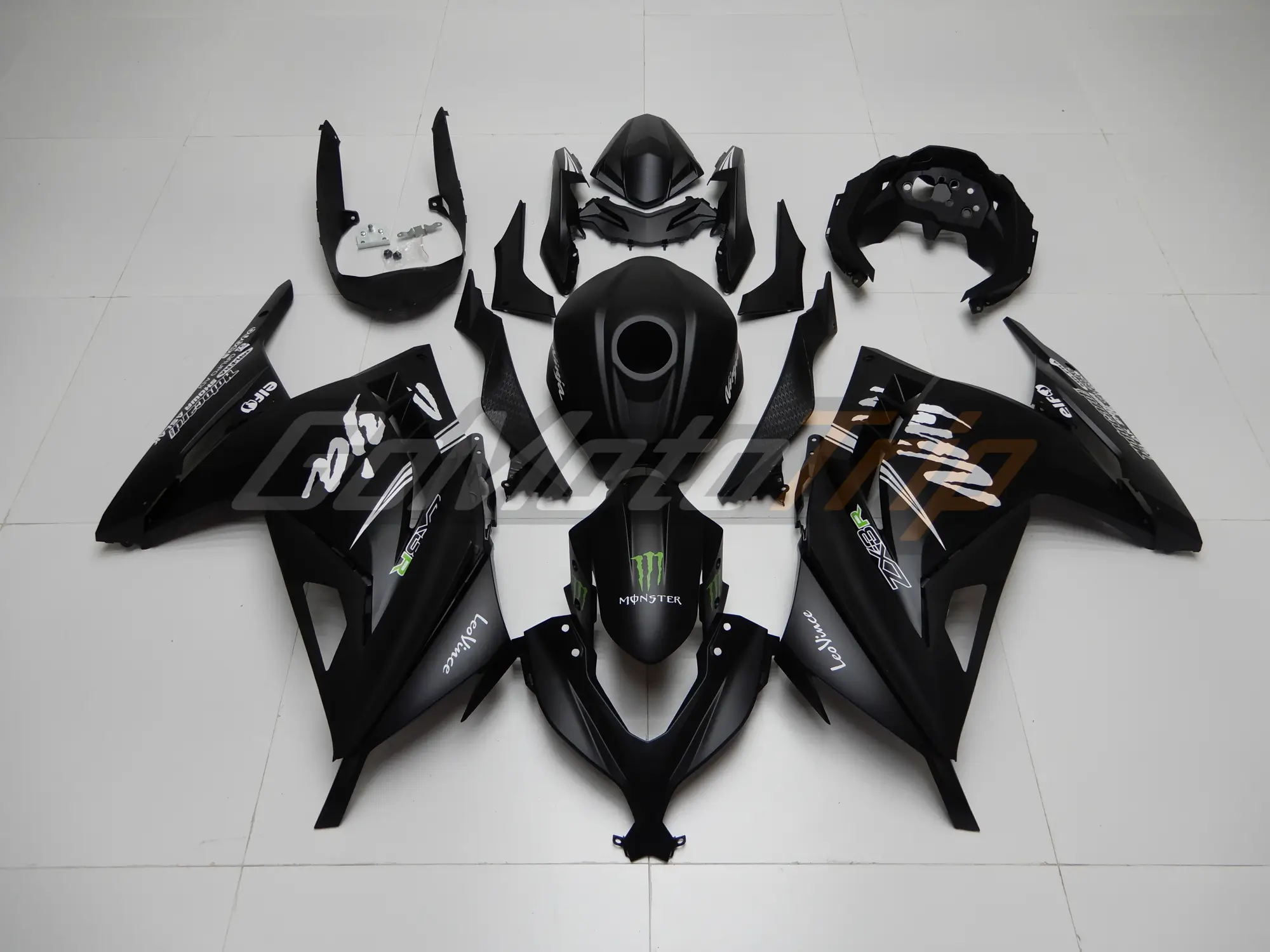 2017 Kawasaki Ninja 300 Winter Edition Fairing 1