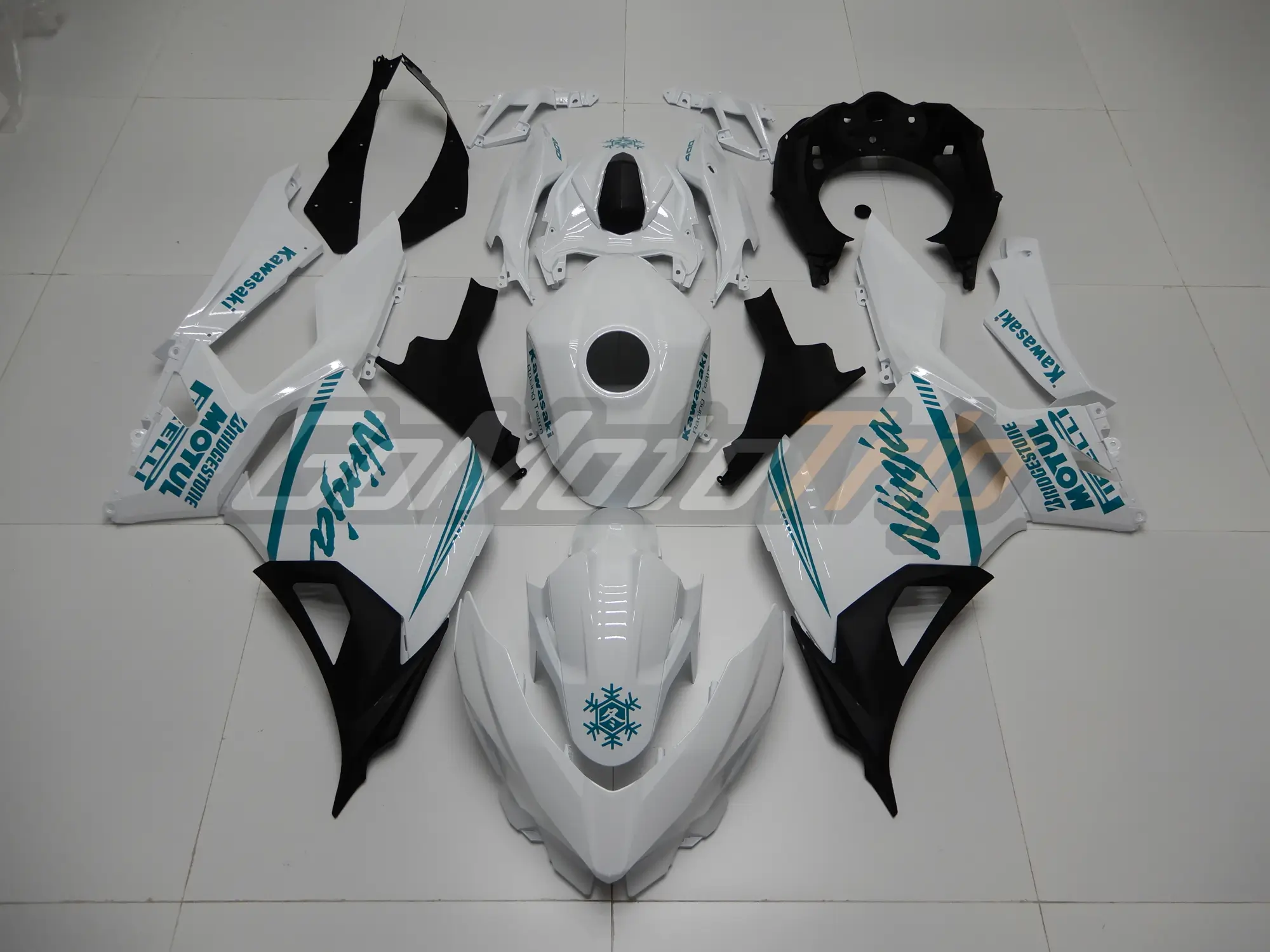 Kawasaki Ninja 400 Winter Edition Fairing2 1